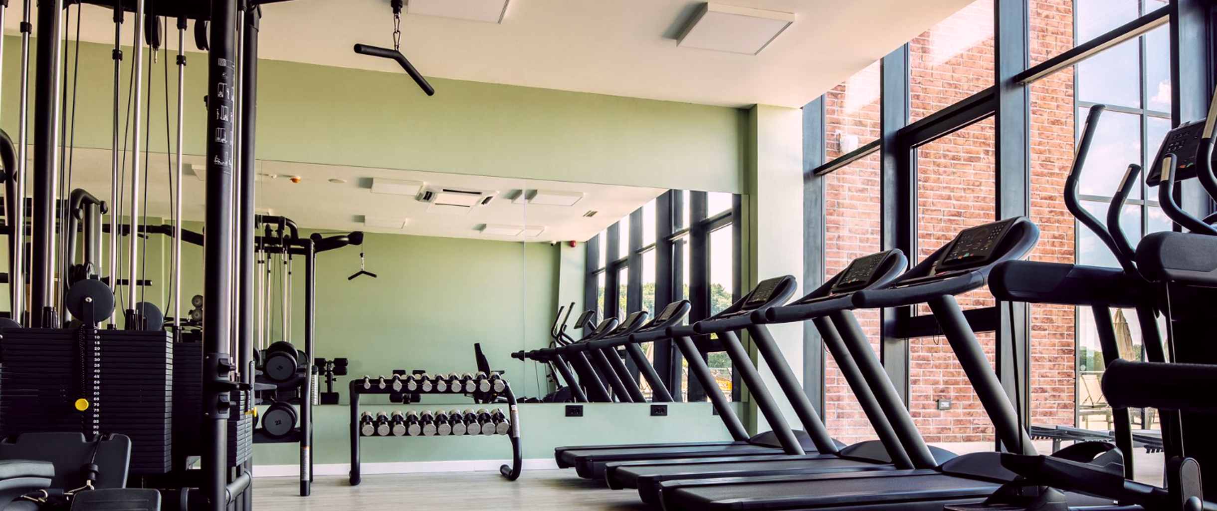 Спортивный зал с несколькими беговыми дорожкми, стендом с гантелями, зеркалом и зелеными стенами